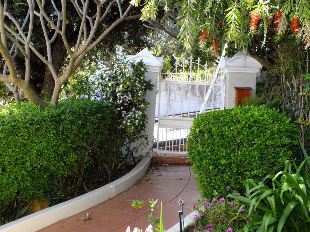 Villa Zeezicht Cape Town Ngoại thất bức ảnh